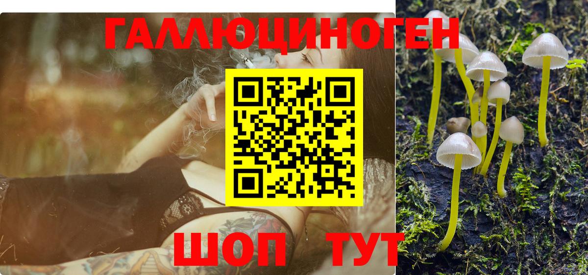 Коммунар  Псилоцибиновые грибы мухоморы  Вход с VPN  Галлюциногенные грибы Psilocybe 