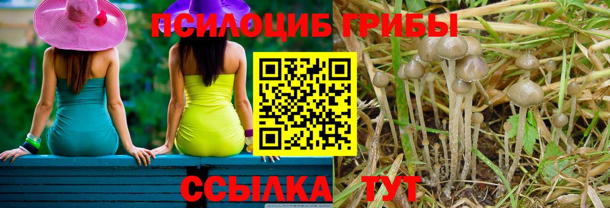 Псилоцибиновые грибы Magic Shrooms Коммунар